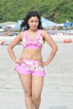 Payal Ghosh (Harika) in Bikini Swimwear Photoshoot on 30th May 2010 (55).JPG